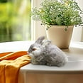 thumbnail image 1 of Hxlamzoo Kids Toys Easter Simulation Model Simulation RealRabbit Model Toys Clearance Sale, 1 of 8