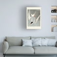 thumbnail image 3 of John James Audubon 'Great Tern' Canvas Art, 3 of 3