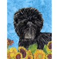 thumbnail image 1 of 11 x 15 In. Affenpinscher Flag, Garden Size, 1 of 1