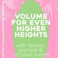 thumbnail image 5 of OGX Extra Volume + Biotin & Collagen Extra Strength Shampoo, 13 fl oz, 5 of 5