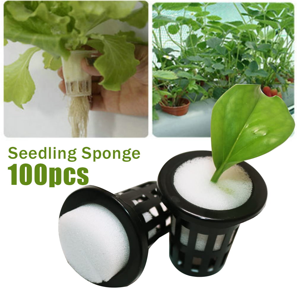 Hydroponic Sponge Planting Greenhouse Gardening Kit Seedling Sponges 100pcs 