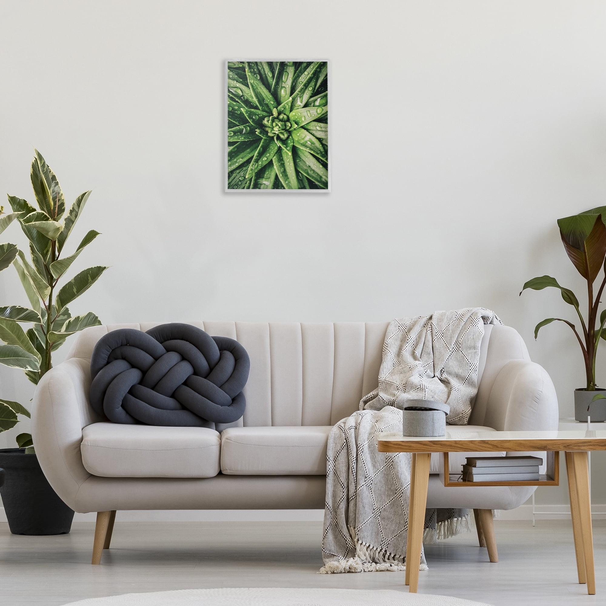 Stupell Industries Succulent in Rain Botanical & Floral Photography Gray Framed Art Print Wall Art, 16 x 20