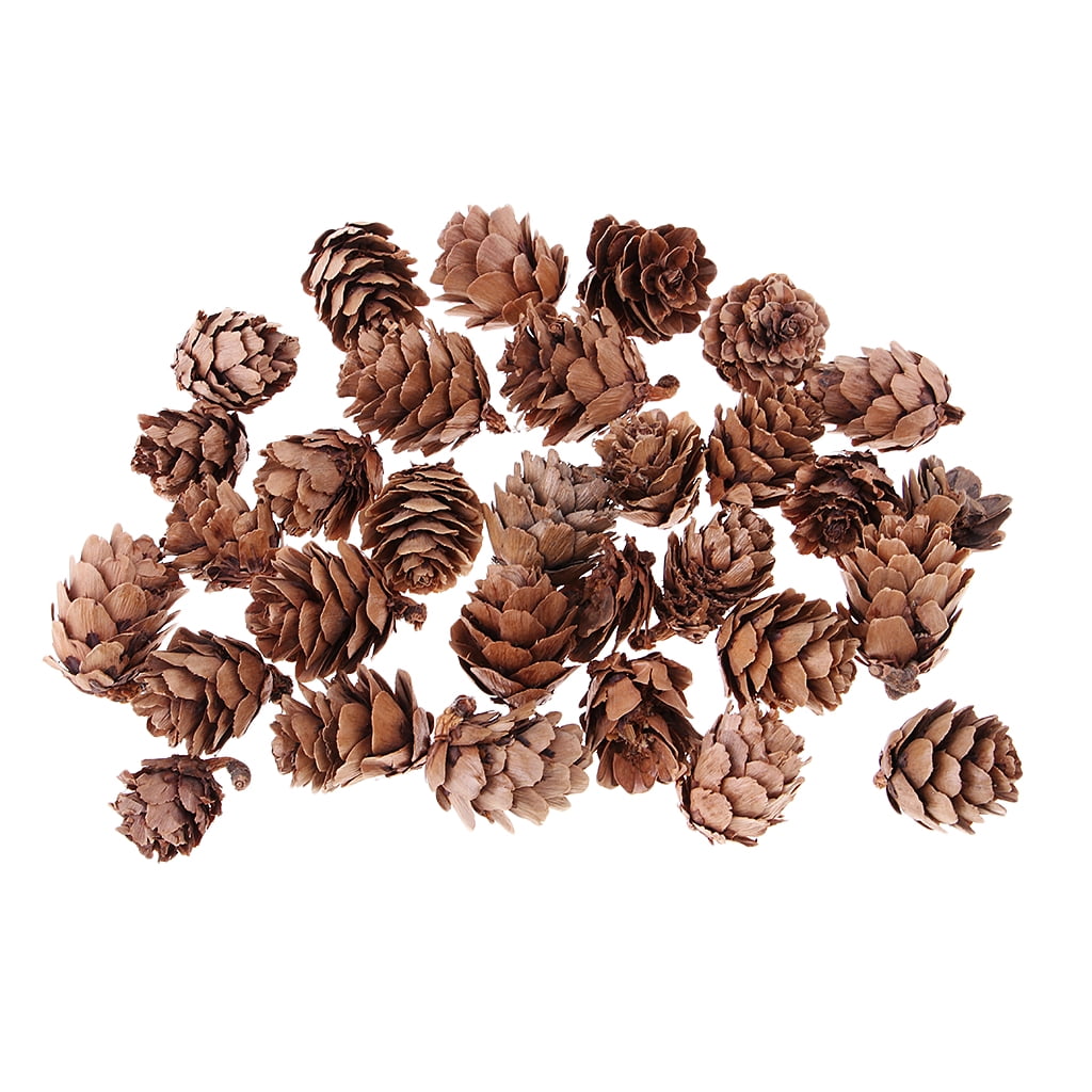 90pcs Vintage Natural Pine Cones Pinecone for Christmas Ornament Crafts DIY 