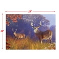 thumbnail image 6 of River's Edge Products 1000 Piece Puzzle, Jigsaw Puzzle in Tin for Adults, Teenagers, and Kids, Unique Outdoor Deer Puzzle, 28 by 20 Inches, Deer Scene, 6 of 7
