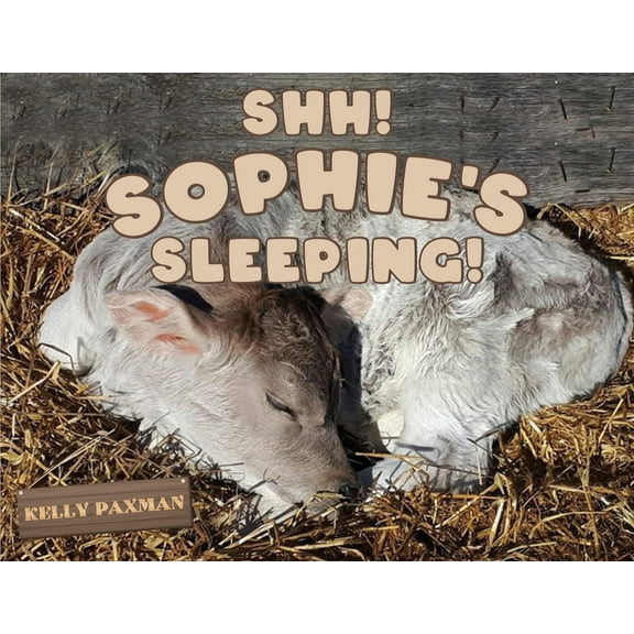 Shhh Sophie's Sleeping!, (Paperback)