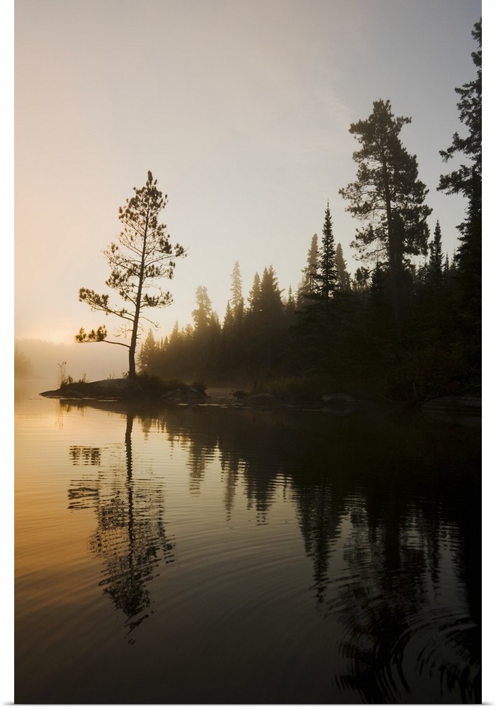 Great BIG Canvas "Tree Silhouettes By Rushing River, Kenora, Ontario