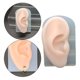 thumbnail image 5 of Modelo de parte del cuerpo humano, práctica de enseñanza de oficina en casa sin burbujas delicadas Oreja derecha jinwen Modelado de partes del cuerpo humano, 5 of 8