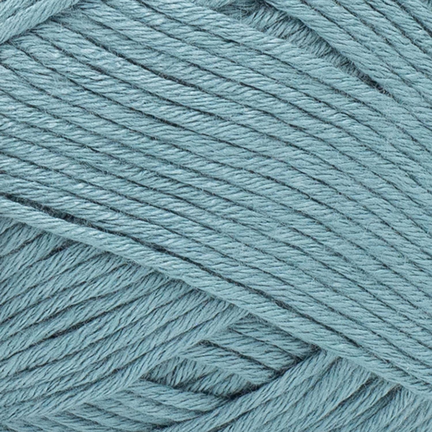 Fil Lion Brand Truboo Fil de Bambou #3 Léger/DK, 100g/ 220m