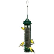 Squirrel Buster Classic Finch Squirrel-proof Bird Feeder with 4 Perches and 8 Feed Ports