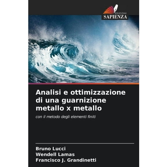 Analisi e ottimizzazione di una guarnizione metallo x metallo, (Paperback)