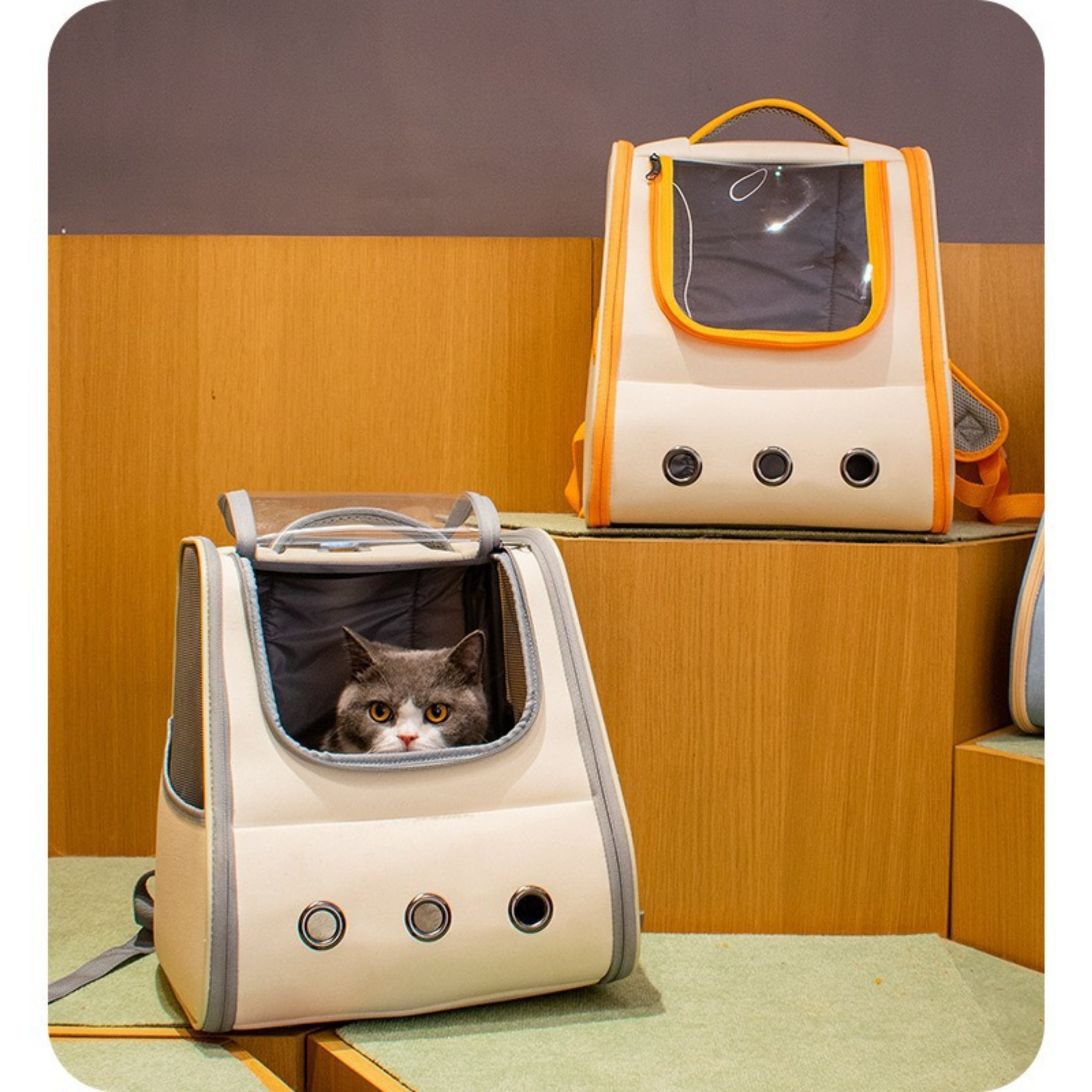 Pet Carrier Backpack for Cats & Dogs, Airline Approved, Ventilated & Collapsible, Up to 17.6 lbs, Designed for Travel, Hiking & Outdoor Use