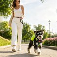 thumbnail image 5 of Adjustable Backpack‑Style Pet Harness For Small Pets, Lightweight Breathable Harness With Storage Pockets For Outdoor Travel Camping Daily Walks, 5 of 5