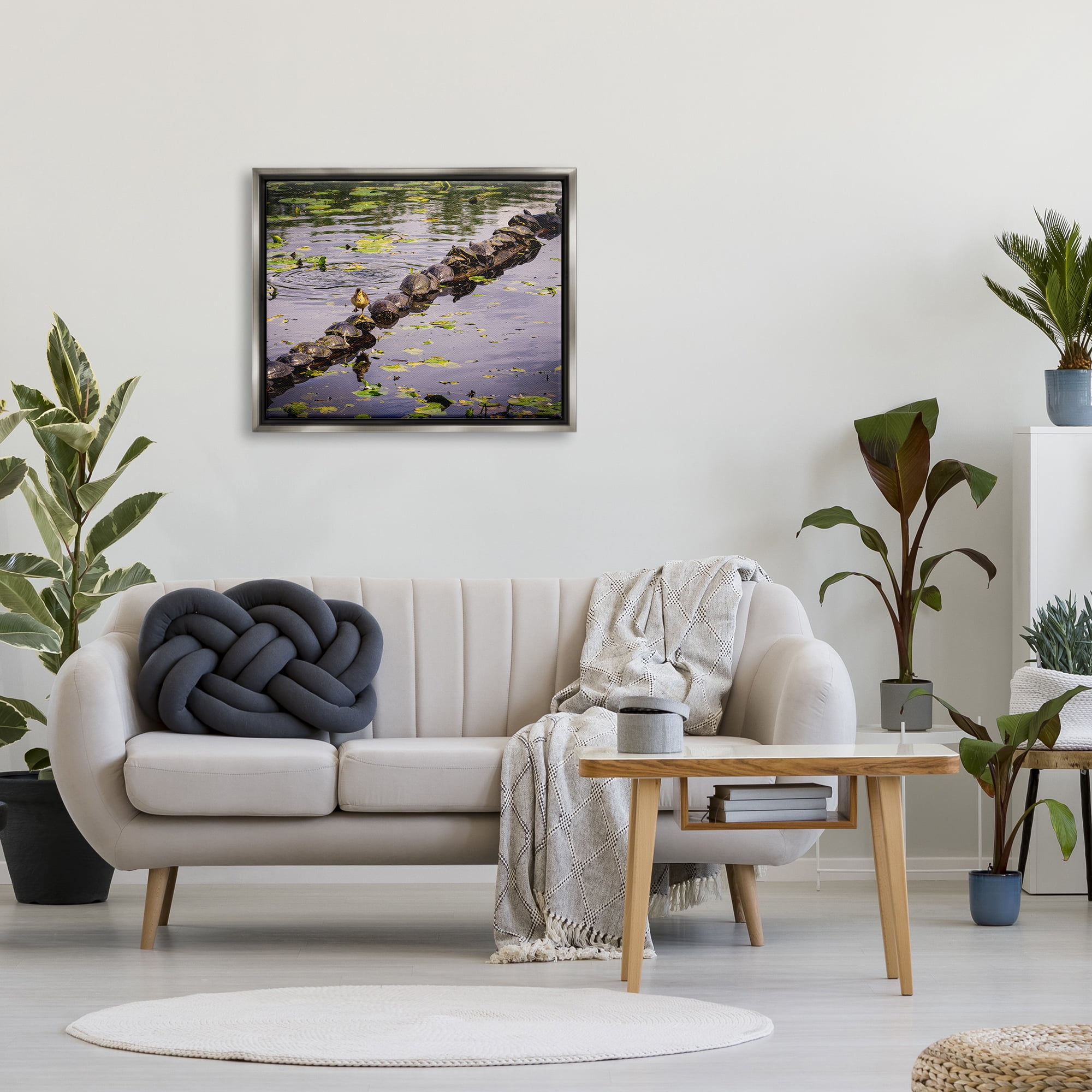 Stupell Industries Bird on Turtle Backs Landscape Photography Gray Floater Framed Canvas Art Print Wall Art, 31 x 25