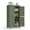Green, variant on Floor Storage Cabinet, Storage Unit, Freestanding Cabinet with 4 Doors, 11.8 x 23.6 x 43.3 Inches, White