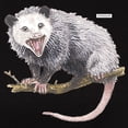 thumbnail image 3 of CafePress - Opossum Possum Animal Women's Dark T Shirt - Women's Traditional Fit Dark T-Shirt, 3 of 4