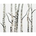 thumbnail image 2 of Finch, Sheila 32x26 Gold Ornate Wood Framed with Double Matting Museum Art Print Titled - Birch Trees II, 2 of 4