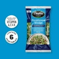 thumbnail image 2 of Taylor Farms Steakhouse Wedge Chopped Salad Kit, 12.87 oz, Fresh, 2 of 6