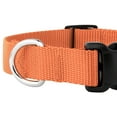 thumbnail image 5 of Country Brook Petz® Deluxe Nylon Dog Collar and Leash - Coral, Medium, 5 of 6