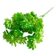 thumbnail image 2 of 1*Simulation Plant Artificial Succulents Mini Plants Small Plastic Succulents for Decorative Garden Arrangement Decor, 2 of 9