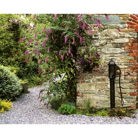 Old Water Pump Ram House Garden Co Wexford Ireland Stretched Canvas - The Irish Image Collection  Design Pics (32 x