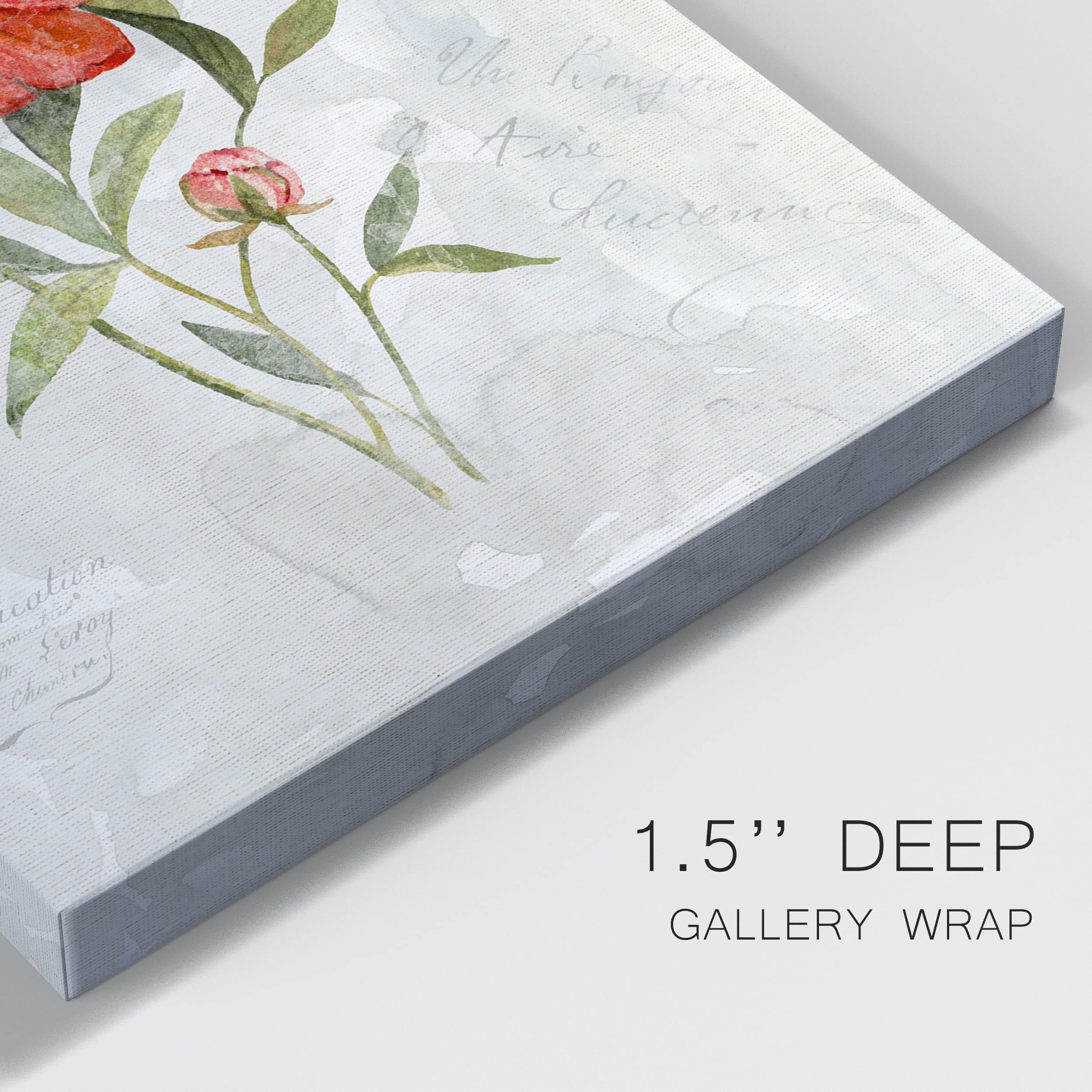 Linen Peony Premium Gallery Wrapped Canvas - Ready to Hang - 12 x 18
