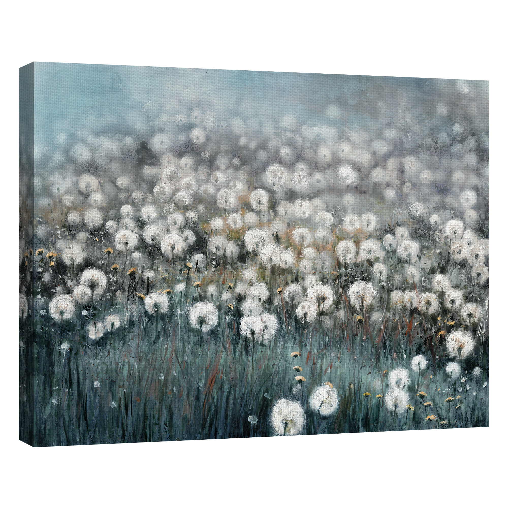 Masterpiece Art Gallery Field Of Dreams Dandelions By Sandy Doonan Canvas Art Print 22" x 28"