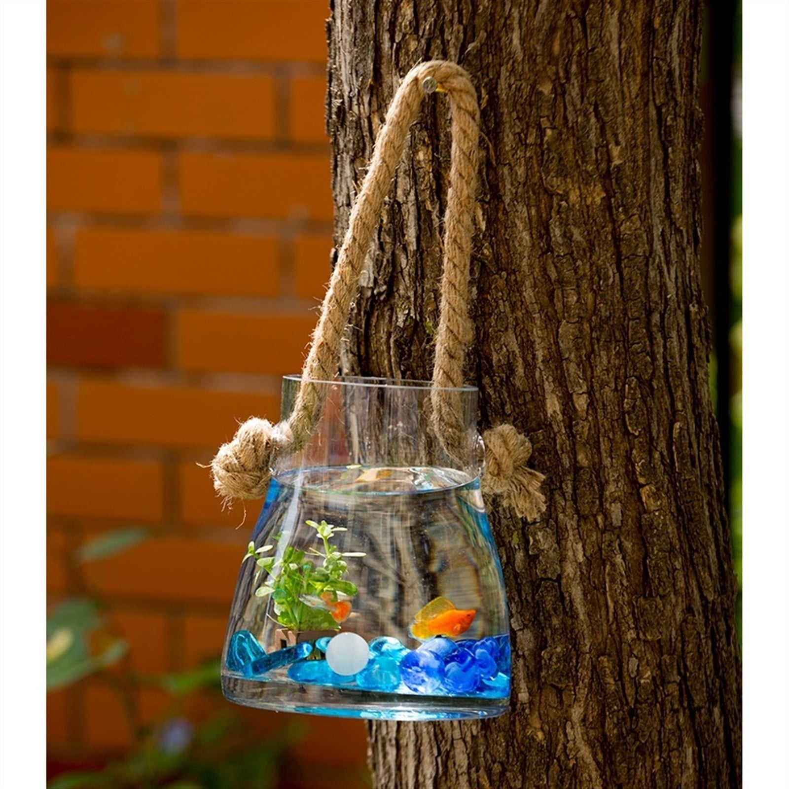 Hanging Indoor Outdoor Glass Fish Tank Living Room Small Wall-mounted Goldfish Aquarium