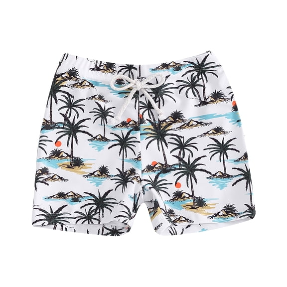 Akiihool Boys Trunks with Compression Liner Boys Swim Trunks Bathing Suit Compression Boxer Brief Liner Swim Shorts Swimsuit Toddler Kids Youth Teen(Black,12-18 Months)