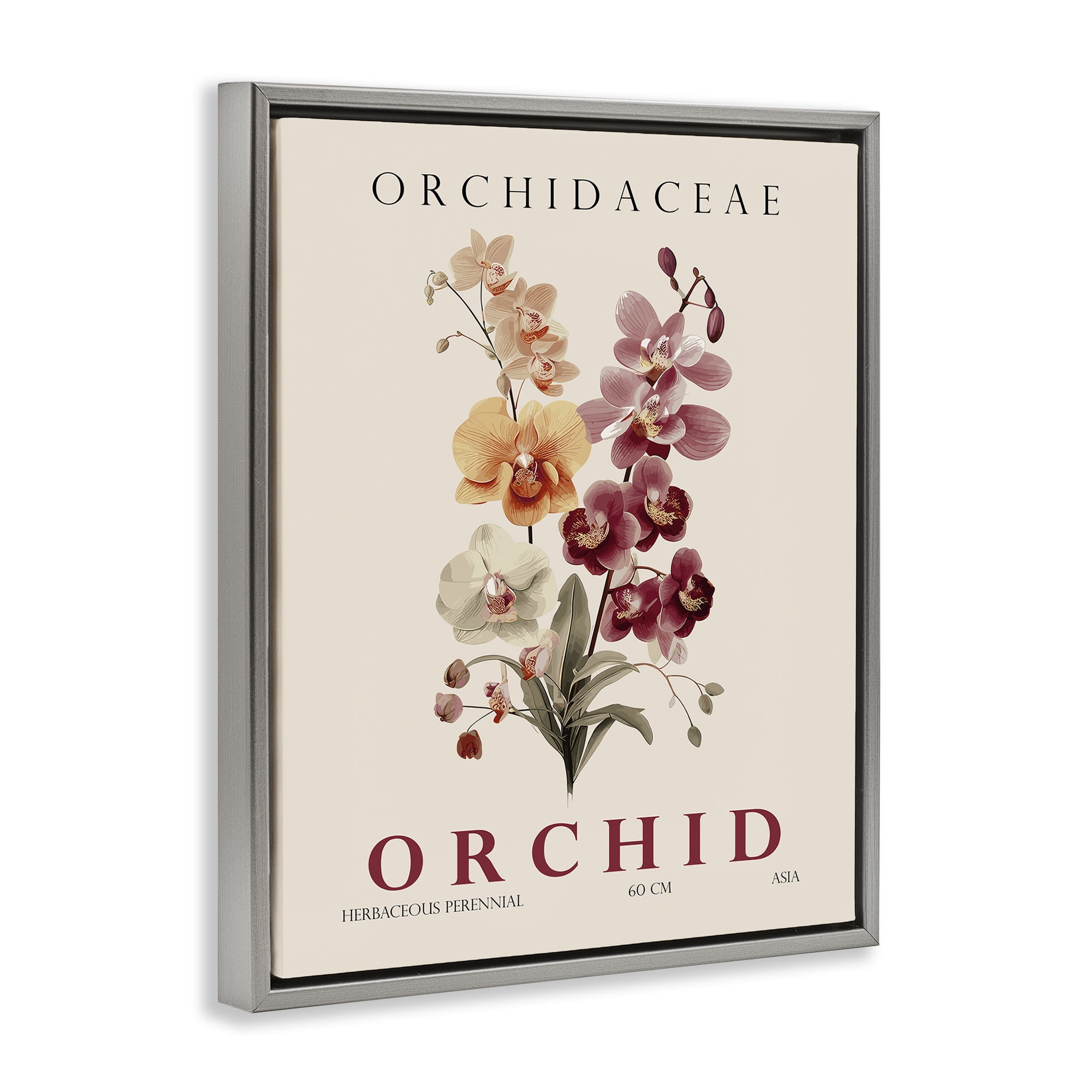 Stupell Industries Natural Orchid Bundle Gray Framed Floater Canvas Wall Art, design by Christopher Giampietro