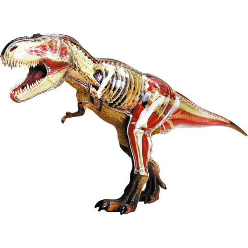 t rex anatomy kit