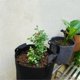 thumbnail image 3 of Heavy Duty Fabric Pots,Vegetable/Flower/Plant Grow Bags,Thickened Non-Woven Fabric Pots with Handles (5 Gallons), 3 of 5