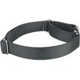thumbnail image 4 of HSHDLDF Charcoal Martingale Heavy Duty Nylon Dog Collar 21 Vibrant Color Options (3/4 Inch Width, Small), 4 of 6