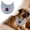 G, variant on Dog Scarf Adjustable Neckwear With Cow Pattern | Pet | For Easter Everyday Wear Holiday Dressing Christmas Halloween Costume Parties Photo Shoots Grooming(XXL)
