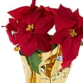 thumbnail image 5 of Northlight Artificial Christmas Poinsettia Arrangement in Wrapped Pot - 16" - Red and Gold, 5 of 5