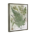 thumbnail image 3 of Stupell Vintage Nature Fern Studies Botanical & Floral Painting Gray Floater Framed Art Print Wall Art, 3 of 6