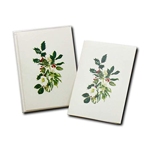 Earth Sky + Water American Holly Notecard Set - 8 Blank Cards & Envelopes, Nature Illustrations