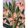 thumbnail image 2 of Vess, June Erica 12x14 White Modern Wood Framed Museum Art Print Titled - Island Lily I, 2 of 4