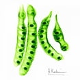 thumbnail image 2 of Koetsier, Albert 15x15 White Modern Wood Framed Museum Art Print Titled - Carob Formation 2, 2 of 4