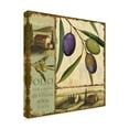 thumbnail image 2 of Trademark Fine Art 'Tuscan Delight I' Canvas Art by Lisa Audit, 2 of 3