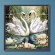 thumbnail image 3 of Pintura de diamante 5D DIY Kit de cisne de taladro redondo completo decoración del hogar 30x30cm, 3 of 9