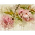 thumbnail image 3 of Robertson, Leda 24x19 Black Modern Framed Museum Art Print Titled - Blossom Elegance II, 3 of 5