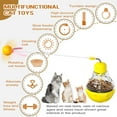 gabapentin for travel anxiety in dogs