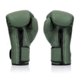 thumbnail image 2 of Guantes de boxeo Fairtex BGV11 Fday Muay Thai de 14 oz para hombre y mujer, 2 of 5