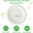 TRAHOOPaper Plates 7 Inch Heavy Duty, Disposable Paper Plates