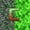 Green Brown C, variant on Castle Fairy Pixelated Miners Letter P Queen Sheet Sets 4 Pieces for Kids,Gaming Block Bed Set