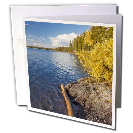 3dRose Lewis Lake, Yellowstone National Park, Wyoming - US51 CHA0099 - Chuck Haney - Greeting Cards, 6 by 6-inches, set of (Best Way To See Yellowstone National Park)