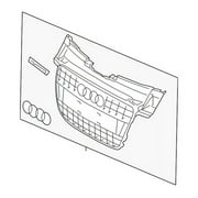 Genuine OE Audi Center Grille - 8K0-853-651-G-1QP