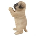 thumbnail image 2 of Hi-Line Gift Ltd 87703-L Praying Pug Puppy Statue, 8.35-inch Height, 2 of 2