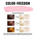 thumbnail image 2 of Decolorante en polvo BELEZALIB Professional 9 Levels Lift, 2 of 7