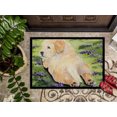 thumbnail image 3 of Carolines Treasures SS8833JMAT 24 x 36 in. Golden Retriever Doormat, 3 of 4